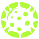 ParasiteSEO
