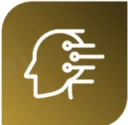 The AI Reports