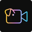 Videoinu