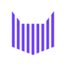Zebracat
